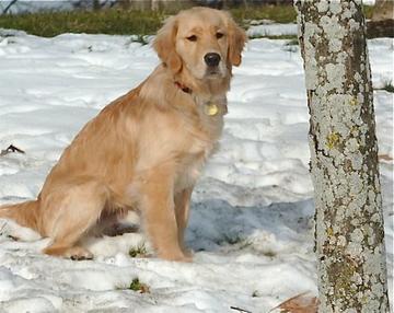 pika_sits_6mos.jpg